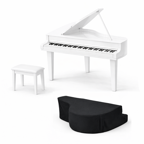 Pack Profesional Completo: Piano Shell + Banqueta + Funda